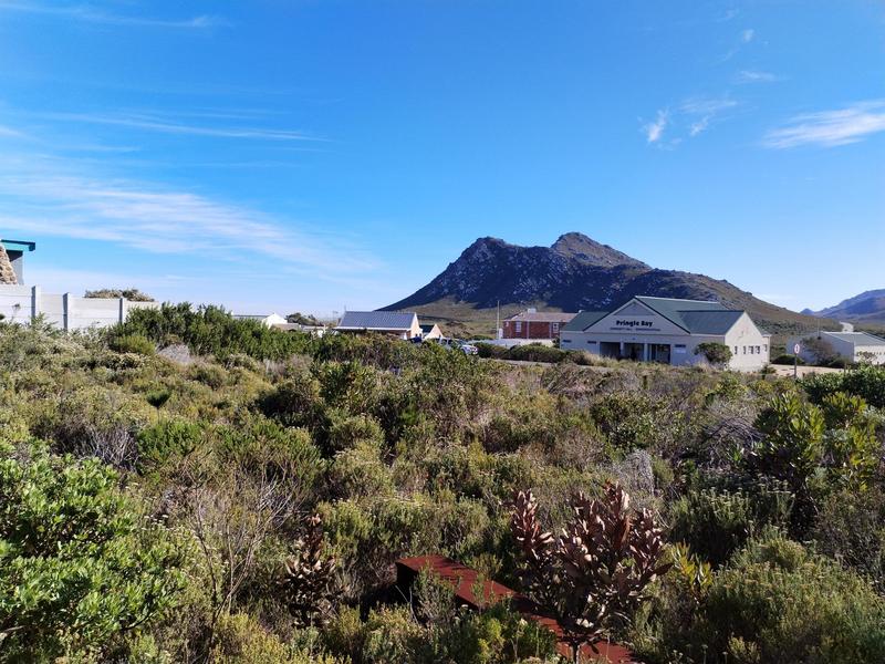 0 Bedroom Property for Sale in Pringle Bay Western Cape